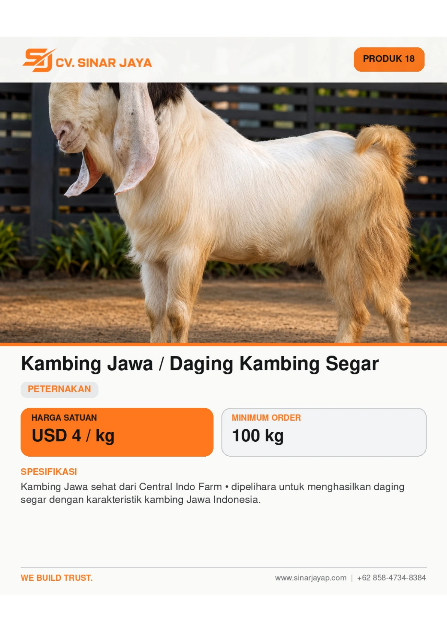 Kambing Jawa / Daging Kambing Segar