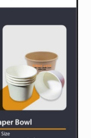Paper Bowl